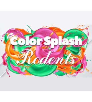 Color Splash: Rodents  Steam Steam Key GLOBAL